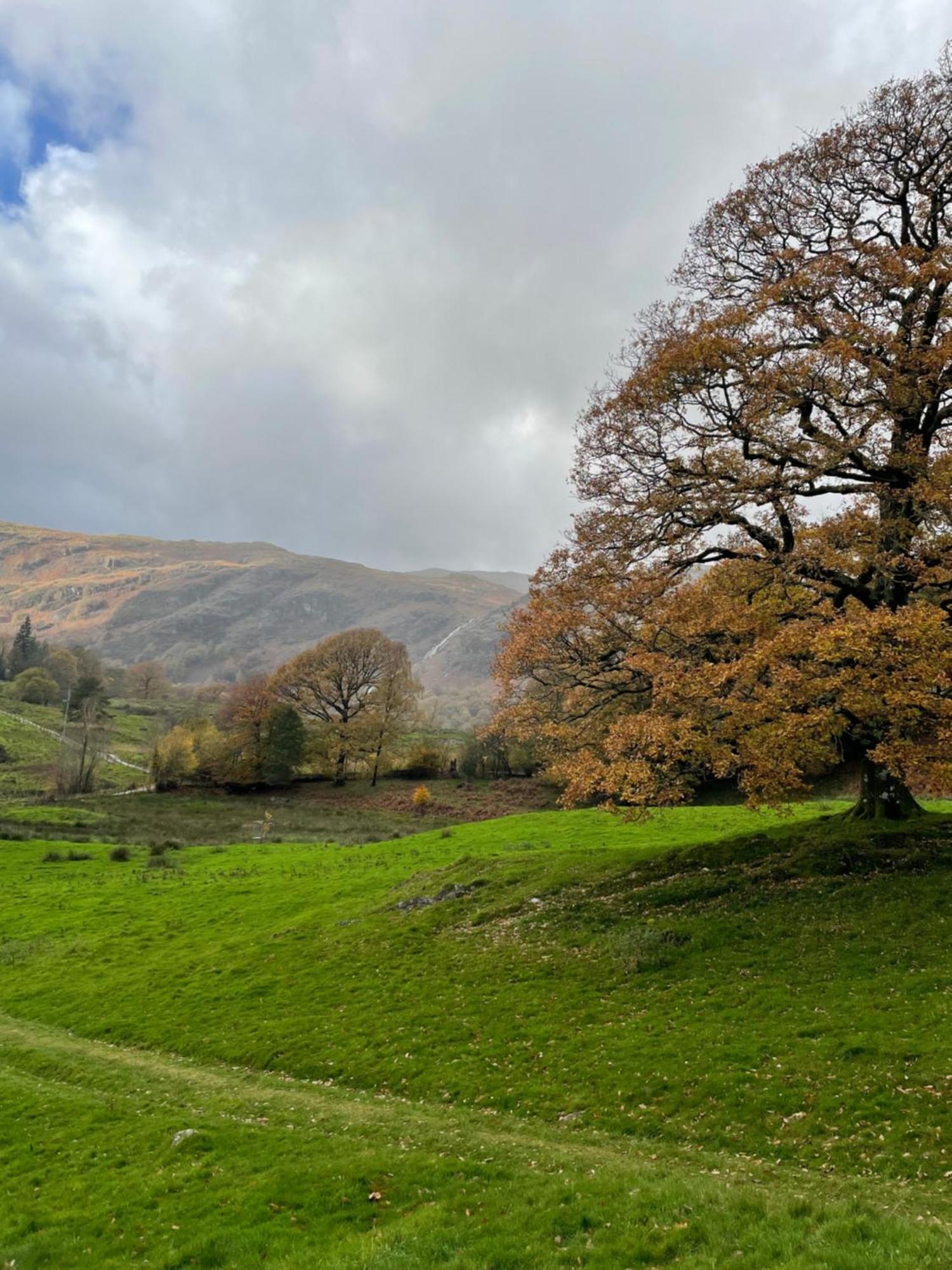 Grizedale View Appartement Coniston Buitenkant foto