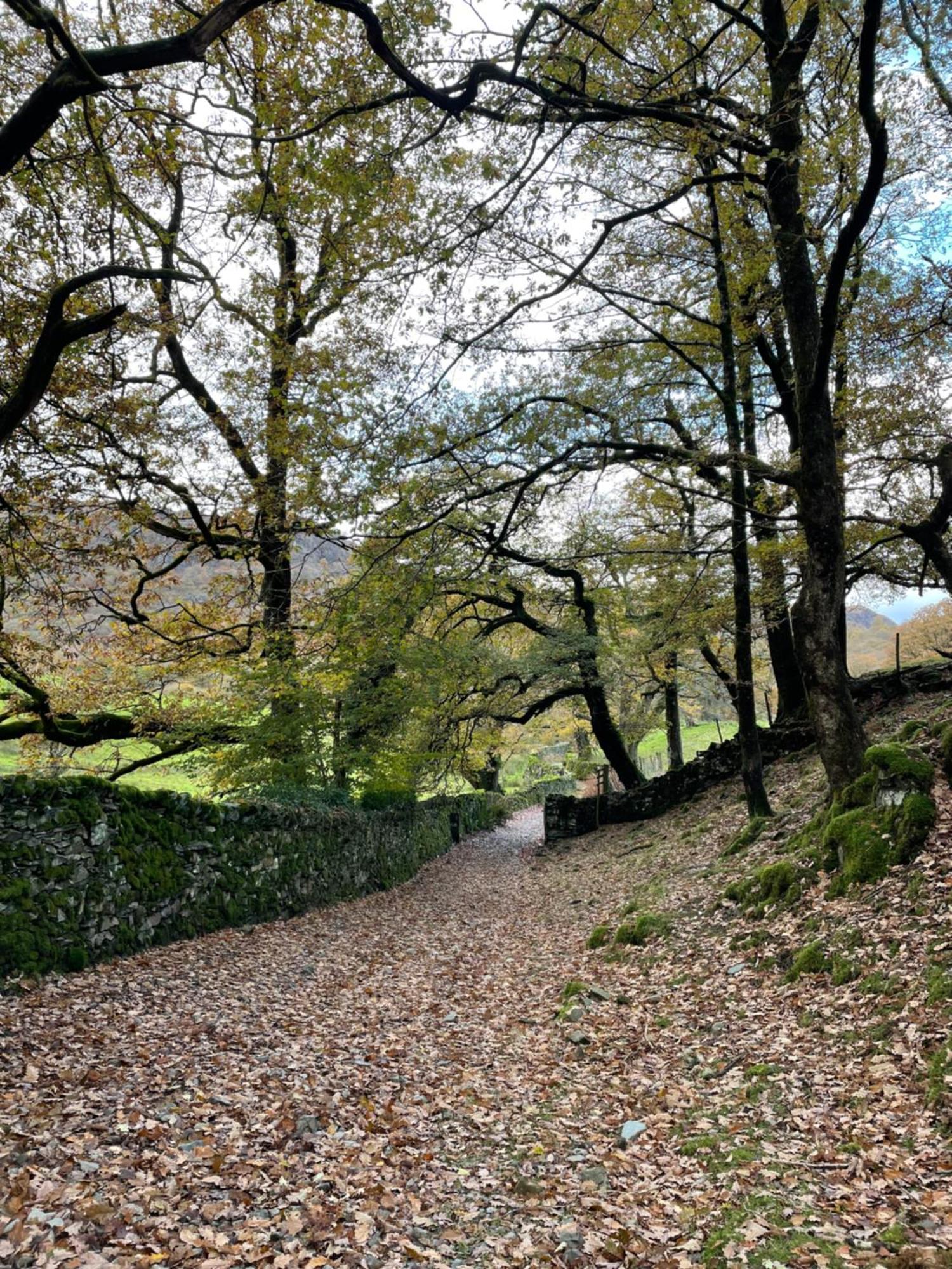 Grizedale View Appartement Coniston Buitenkant foto